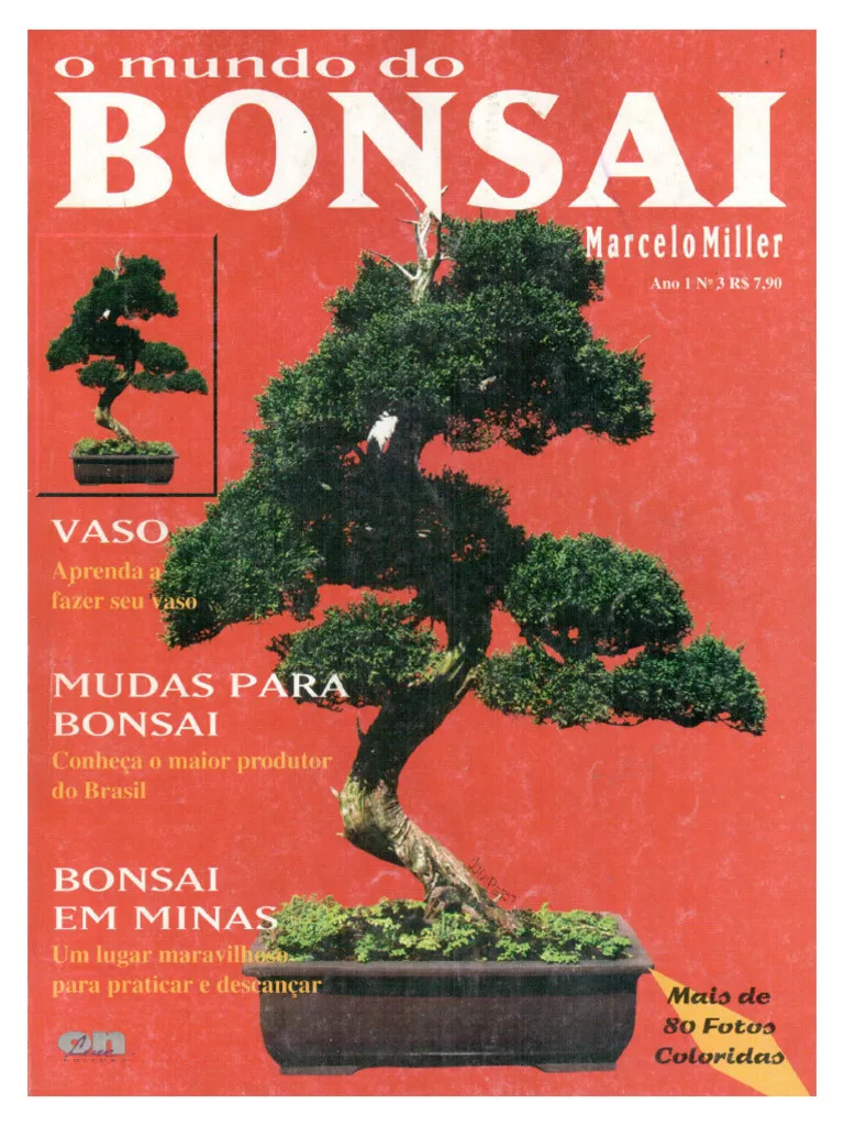 Mundo do Bonsai, V1, N3